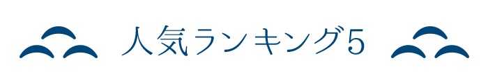 人気ランキング5