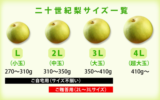 鳥取二十世紀梨プチケーキ(鳥取県産二十世紀梨果汁使用‼鳥取二十世紀梨プチケーキ