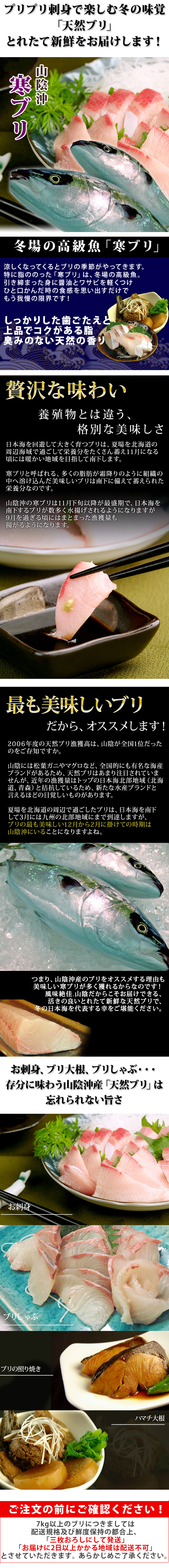 天然ブリ（寒鰤/寒ブリ）9kg前後（出荷時「三枚おろし」限定） 送料