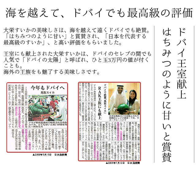 大栄すいか5kg前後 中玉サイズ 1玉 鳥取県産 ご自宅用大栄スイカ 訳あり 送料無料 北海道 沖縄を除く 風味絶佳 山陰