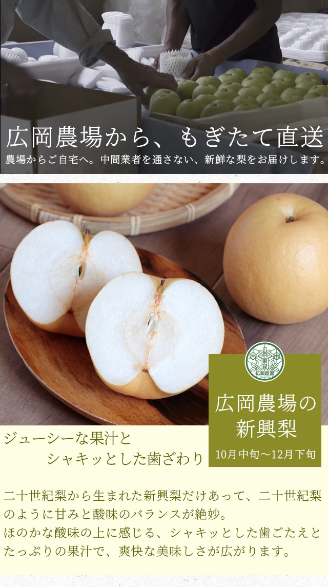 独特の素材 梨 10kg 名産地の新興梨 ご家庭用 送料無料 食品