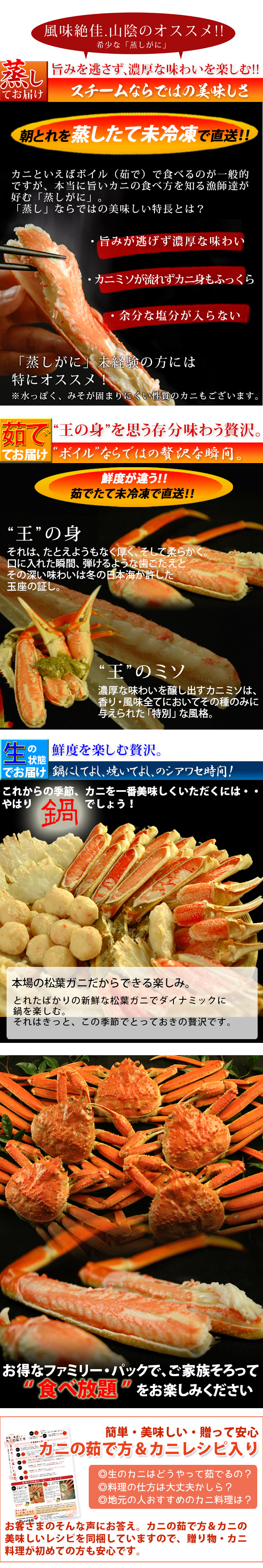 返金保証付 松葉ガニ約1 5kg詰 3 5枚入 訳あり 日本海産 未冷凍 送料無料 風味絶佳 山陰