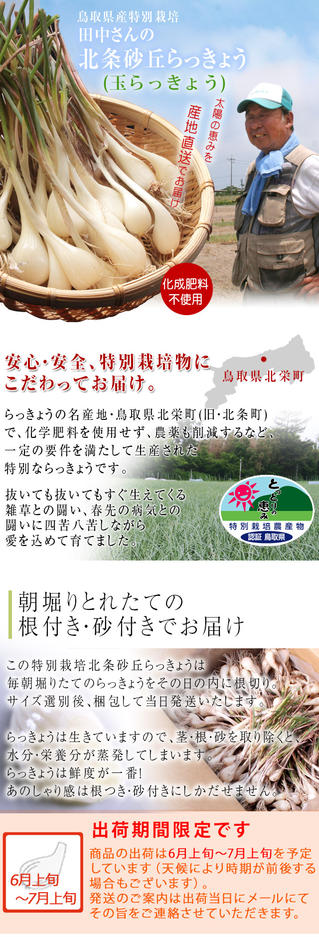 鳥取県産　砂丘玉らっきょう　２キロ